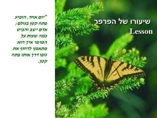 שיעורו של הפרפר Lesson