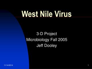 West Nile Virus