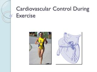 Cardiovascular Control During Exercise