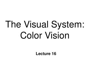 The Visual System: Color Vision