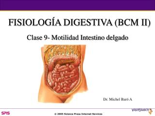 FISIOLOGÍA DIGESTIVA (BCM II)