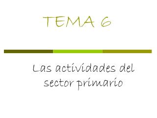 TEMA 6
