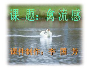 课件制作：李 国 芳