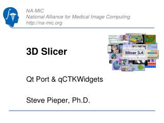 3D Slicer
