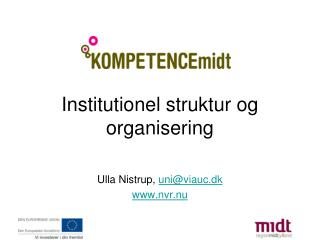 Institutionel struktur og organisering