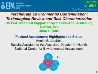Revised Assessment Highlights and Status Annie M. Jarabek