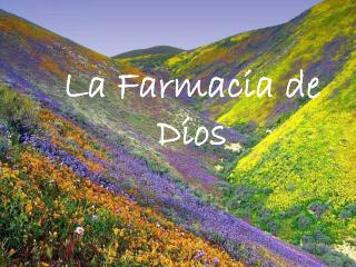 La Farmacia de Dios