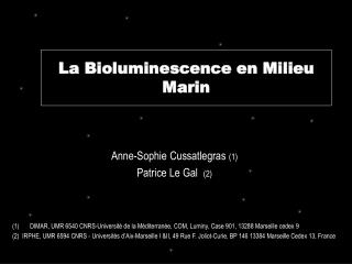 La Bioluminescence en Milieu Marin