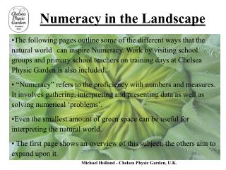 Numeracy in the Landscape