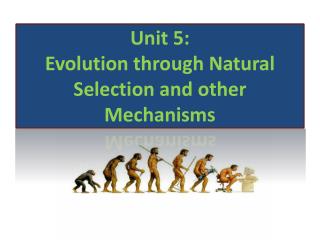 Unit 5: Evolution through Natural Selection and other Mechanisms