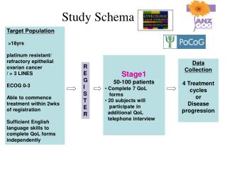 Study Schema