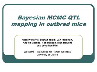 Bayesian MCMC QTL mapping in outbred mice