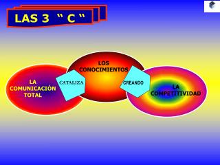 LAS 3 “ C “