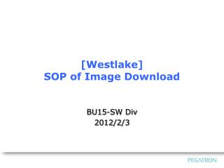 [Westlake] SOP of Image Download