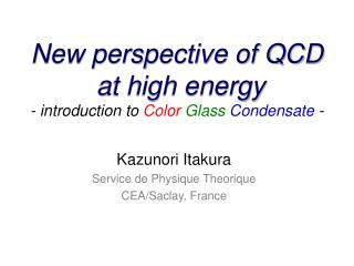 New perspective of QCD at high energy - introduction to Color Glass Condensate -