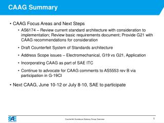 CAAG Summary