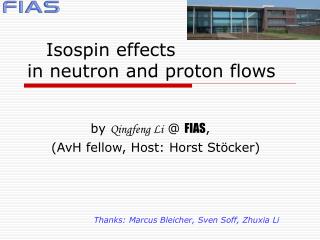 Isospin effects in neutron and proton flows