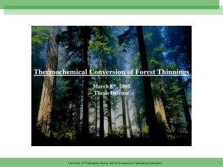Thermochemical Conversion of Forest Thinnings March 8 th , 2005 – Thesis Defense –