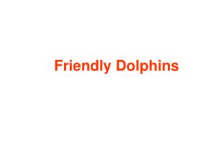 Friendly Dolphins