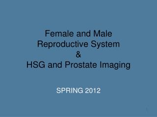 Female and Male Reproductive System &amp; HSG and Prostate Imaging