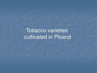 Tobacco varieties cultivated in Ploand