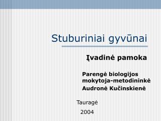 Stuburiniai gyvūnai