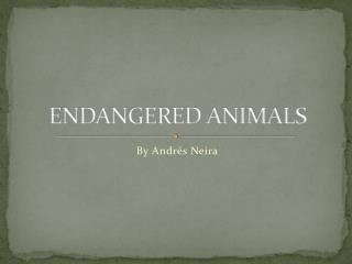 ENDANGERED ANIMALS