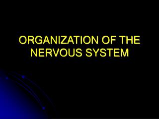 ORGANIZATION OF THE NERVOUS SYSTEM