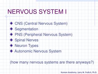 NERVOUS SYSTEM I