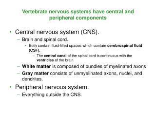 Vertebrate nervous systems have central and peripheral components