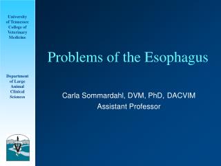 Problems of the Esophagus