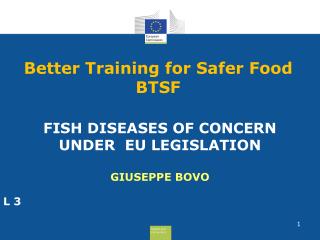 Better Training for Safer Food BTSF