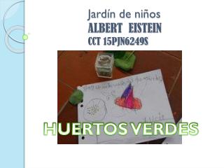 Jardín de niños ALBERT EISTEIN CCT 15PJN6249S