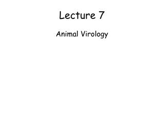 Lecture 7