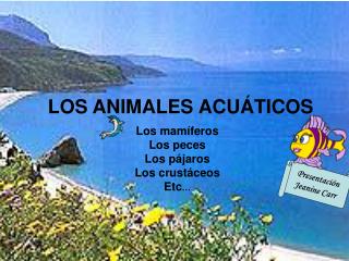 LOS ANIMALES ACU Á TICOS