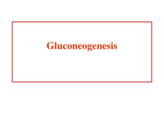 Gluconeogenesis