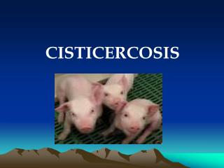 CISTICERCOSIS