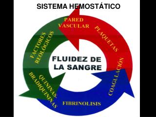 SISTEMA HEMOSTÁTICO