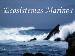 Ecosistemas Marinos