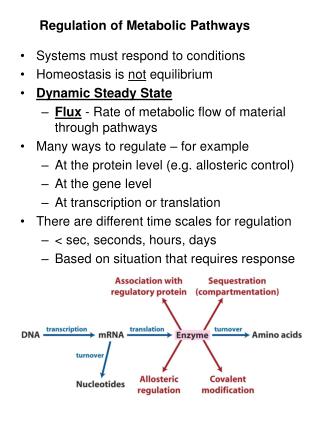 Regulation of Metabolic Pathways