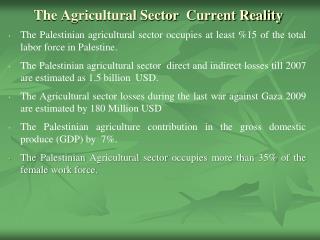 The Agricultural Sector Current Reality