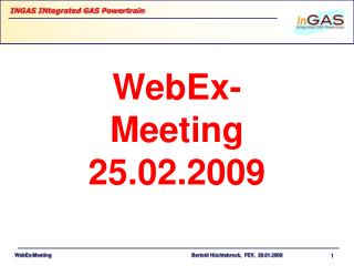 WebEx-Meeting 25.02.2009