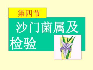 沙门菌属 及检验
