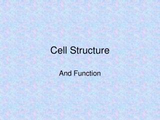 Cell Structure