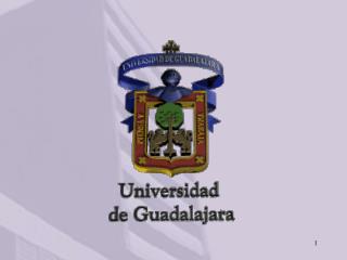 UNIVERSIDAD DE GUADALAJARA