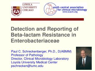 Detection and Reporting of Beta-lactam Resistance in Enterobacteriaceae