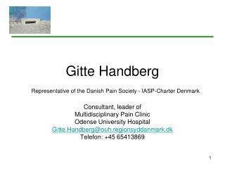 Gitte Handberg