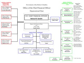 CENTRAL FINANCIAL OPERATIONS - Deputy CFOs