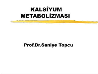 KALSİYUM 	METABOLİZMASI