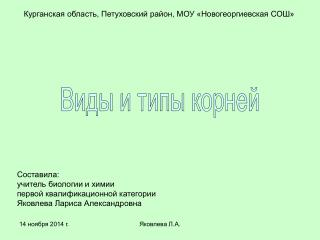 Курганская область, Петуховский район, МОУ «Новогеоргиевская СОШ»